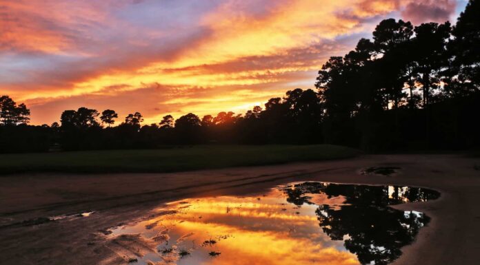 I 10 migliori spot per il birdwatching della Carolina del Sud quest’estate South Carolina’s 10 Best Bird Watching Spots This Summer