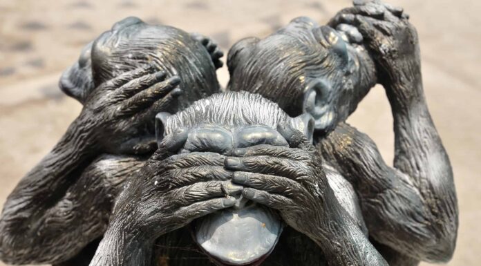 See No Evil, Hear No Evil, Speak No Evil Monkeys: significato e origini See No Evil, Hear No Evil, Speak No Evil Monkeys: significato e origini