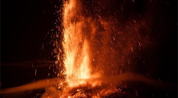 A The 9 Best Books About National Parks for Travelers