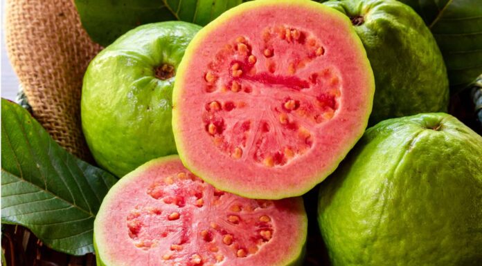 Guayaba vs Guava