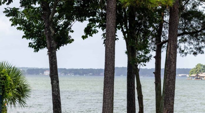 Gli 8 migliori laghi per la nautica in Texas
