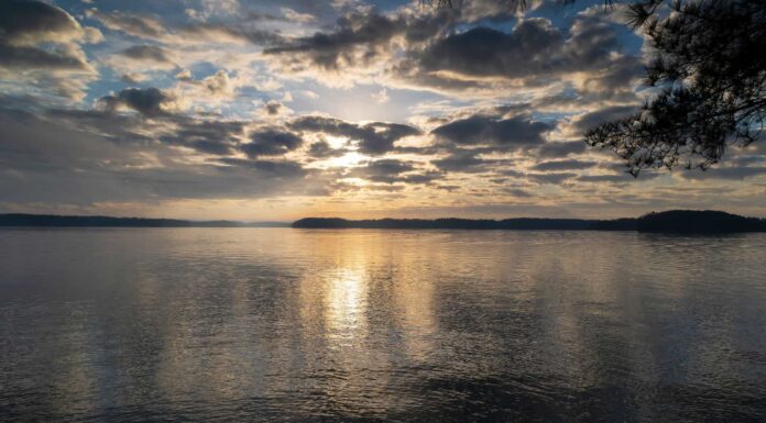 Scopri perché Lake Lanier potrebbe essere il lago più pericoloso d'America
