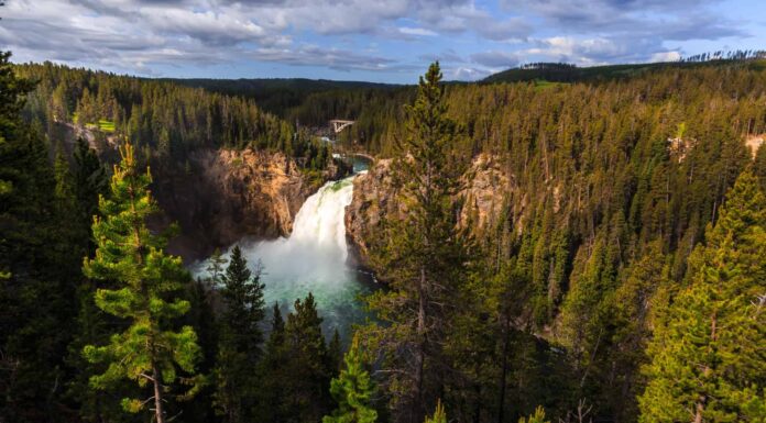 Le 7 migliori escursioni nel Parco Nazionale di Yellowstone
