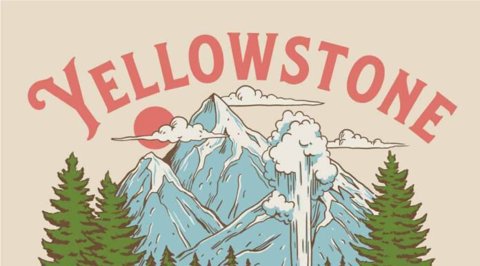 I cani sono ammessi nel Parco Nazionale di Yellowstone?
