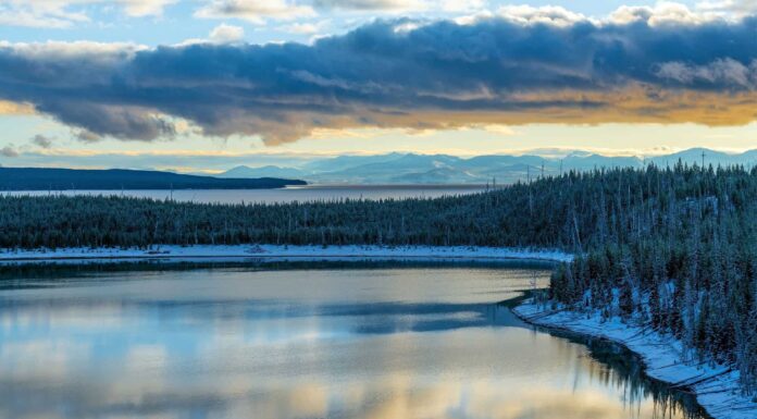 Yellowstone a novembre: cose da fare, meteo e altro
