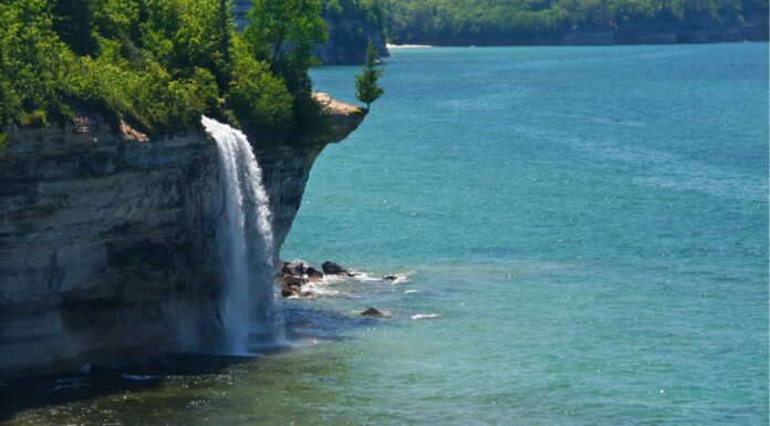 Cosa vive in fondo al Lago Superiore?
