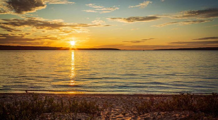I 10 migliori luoghi di pesca nel Michigan quest'estate
