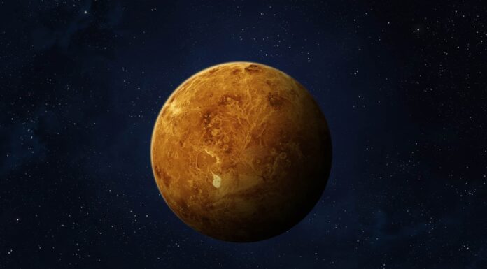 Questo è quanto peseresti su Venere
