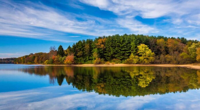 I 5 migliori spot per sbirciare le foglie in Pennsylvania: date di punta, migliori percorsi di guida e altro
