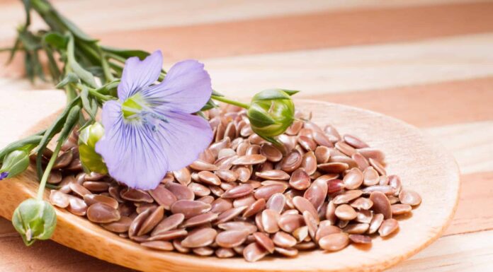 Chia Seeds vs Flax Seeds