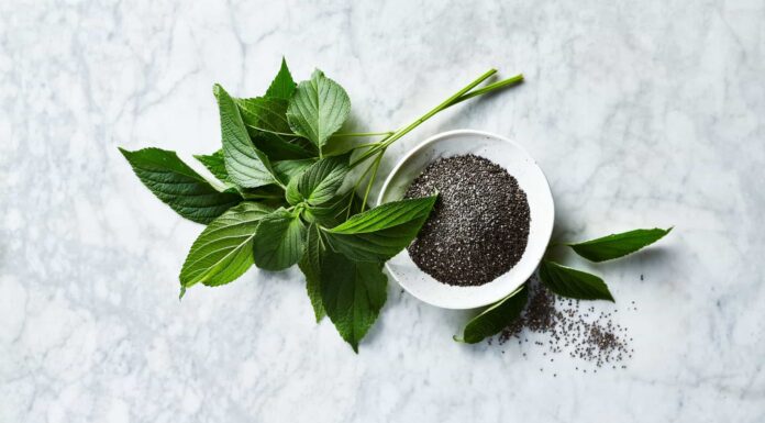 Hemp Seeds vs Chia Seeds