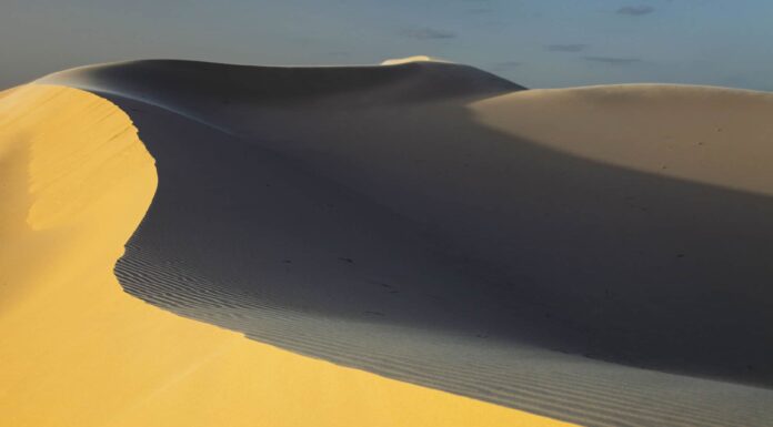 Texas State Highway 100 