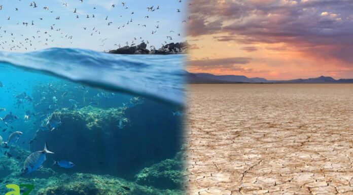 Vanishing Lakes: scopri come uno dei laghi più grandi d'America è improvvisamente scomparso
