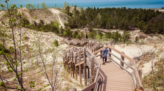 Scopri i 3 migliori parchi nazionali dell'Indiana
