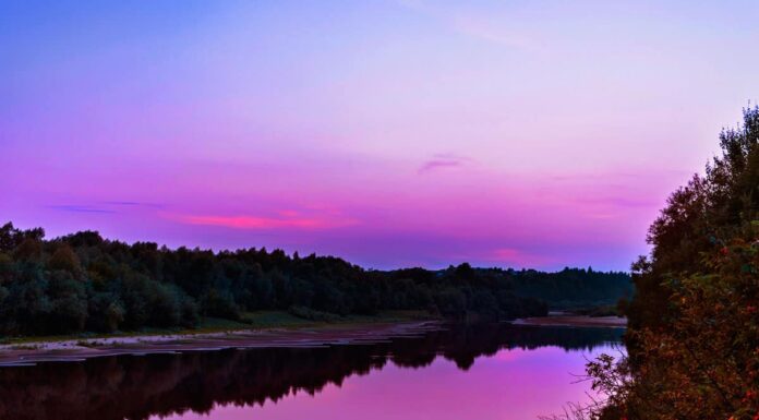  Cos'è un affluente?  Una guida completa
