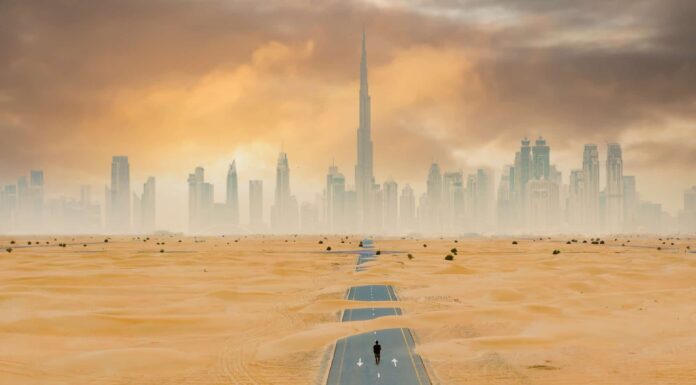 A The 9 Best Books About National Parks for Travelers