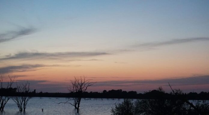 Cedar Bluff Kansas Reservoir