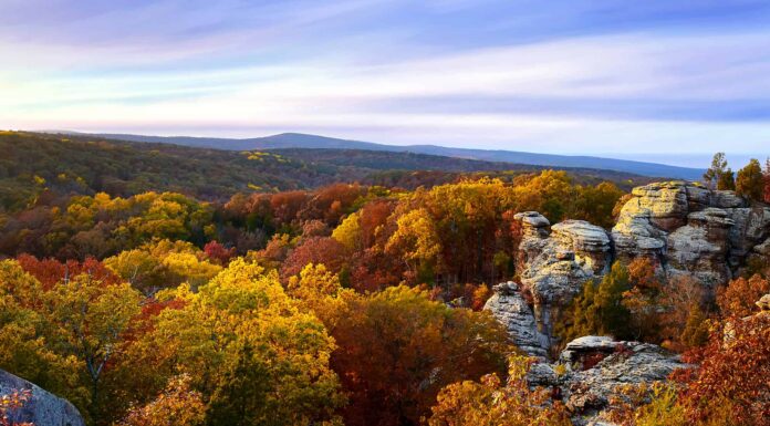Fort Massac State Park