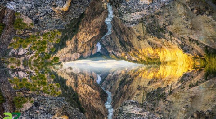  Perché i fiumi scorrono verso sud?  (Scopri 5 fiumi che infrangono la "regola")
