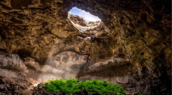 Scopri le 5 grotte più profonde degli Stati Uniti Scopri le 5 grotte più profonde degli Stati Uniti