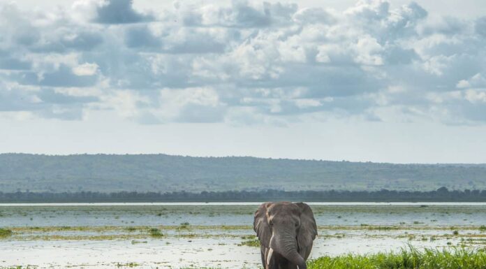 I 15 laghi più grandi dell'Africa
