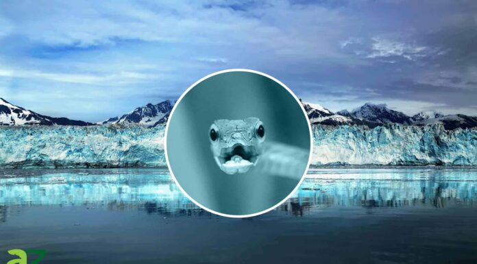 Serpenti in Alaska Serpenti in Alaska