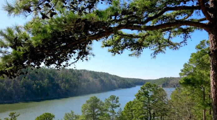 10 laghi assolutamente incredibili in Arkansas (uno è un luogo leggendario per la pesca alla spigola!)
