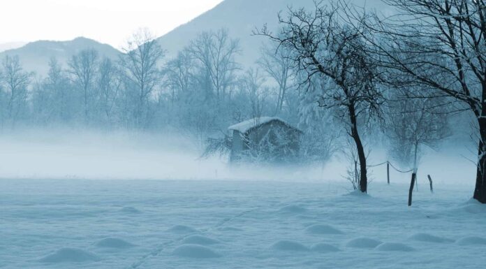Scopri il posto più innevato della Pennsylvania
