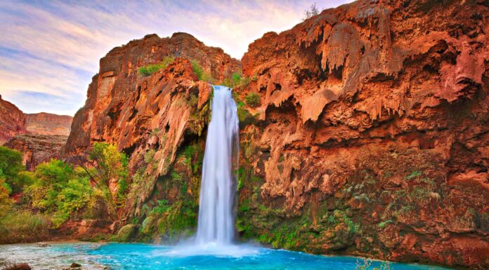 I migliori fori per nuotare in Arizona
