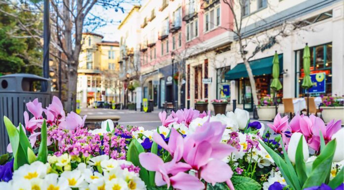 I 7 migliori parchi per cani a San Jose
