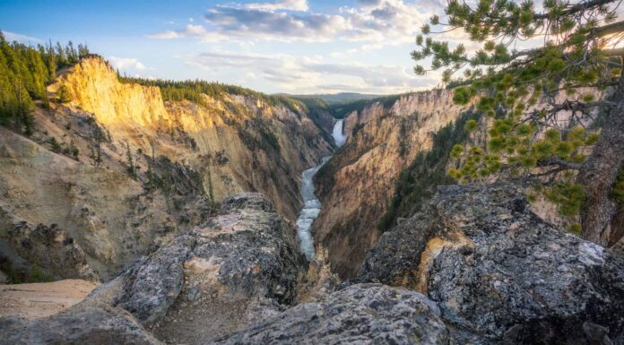 Grand Canyon of the Yellowstone