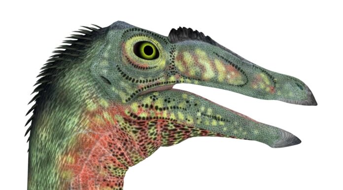 Questa lucertola alta 36 piedi aveva artigli spaventosi e giganteschi
