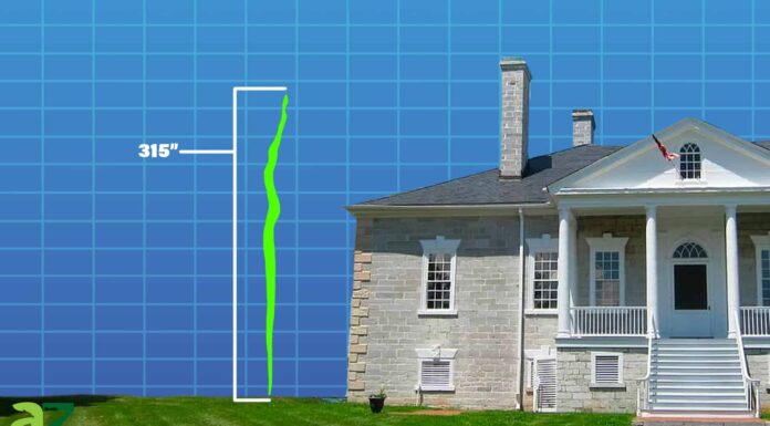Scopri il pitone più grande mai vissuto (26 piedi)! Scopri il pitone più grande mai vissuto (26 piedi)!