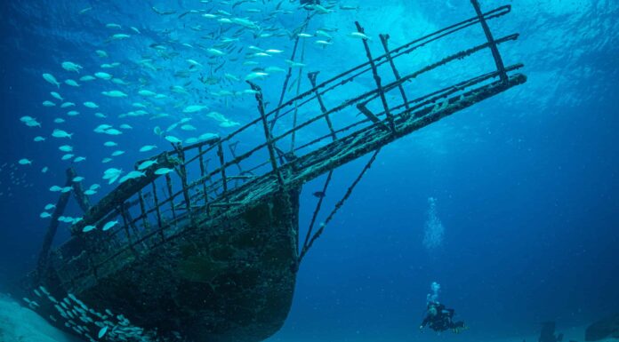 Guarda l'incredibile naufragio che milioni di pesci ora chiamano casa
