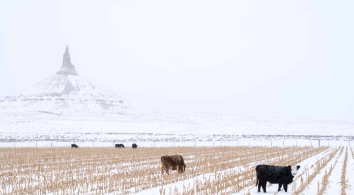 first snow in nebraska