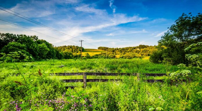 Incontra i più grandi proprietari terrieri della Pennsylvania
