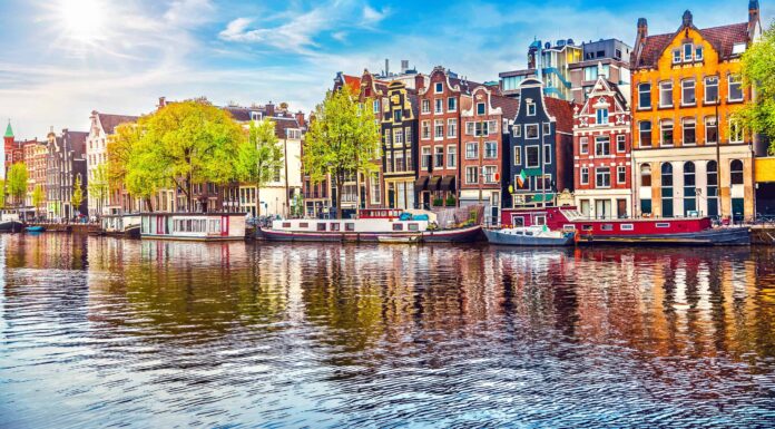 Scopri il fiore nazionale dei Paesi Bassi: il tulipano
