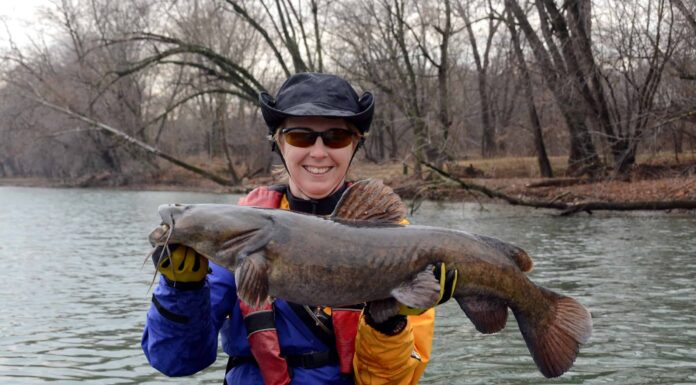  Mostro del fiume!  Il pesce più grande mai catturato in Arizona
