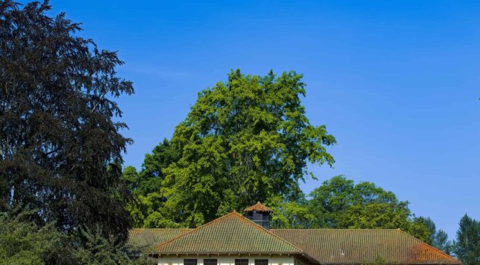 I 5 ospedali abbandonati più spaventosi degli Stati Uniti
