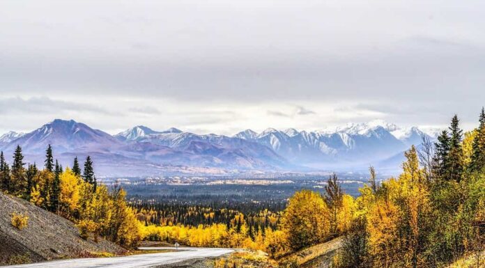 Montagne Mentasta innevate e foreste colorate autunnali viste dal confine di Tok in Alaska
