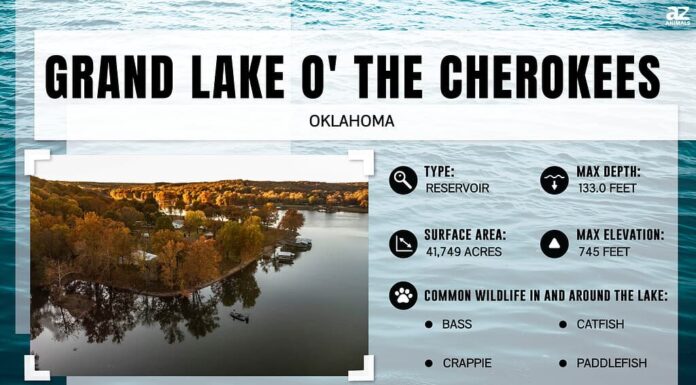 Quanto è profondo il Grand Lake O'the Cherokees?

