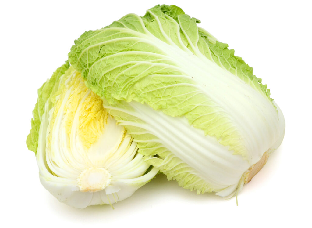 cavolo cappuccio