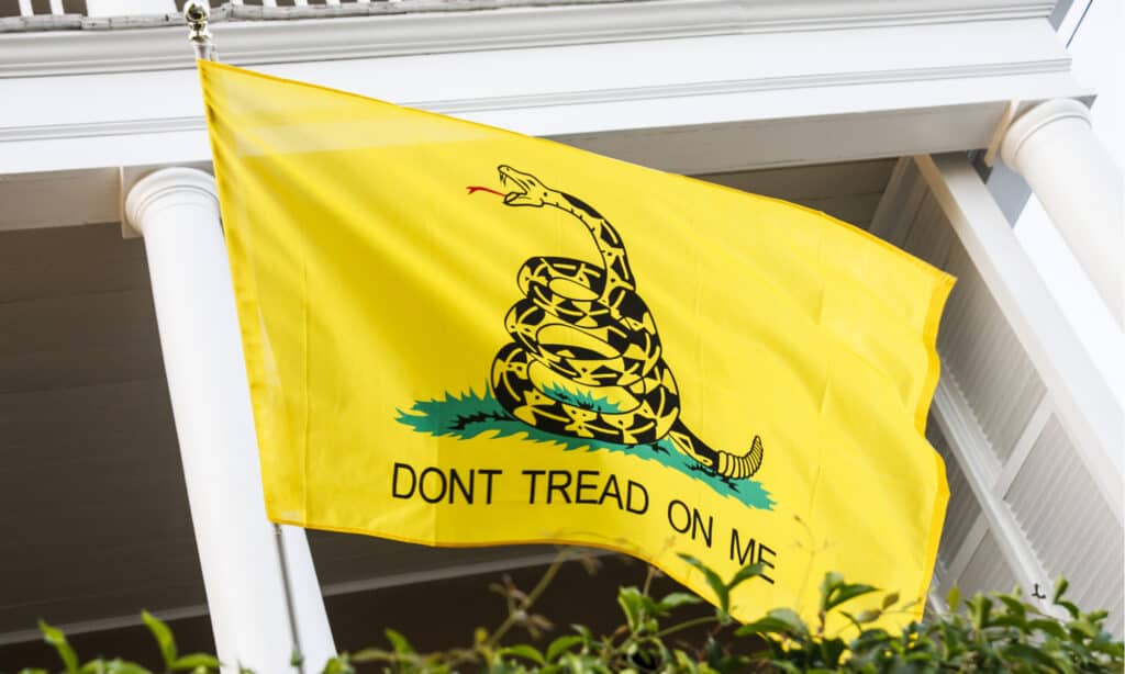 Bandiera di Gadsden