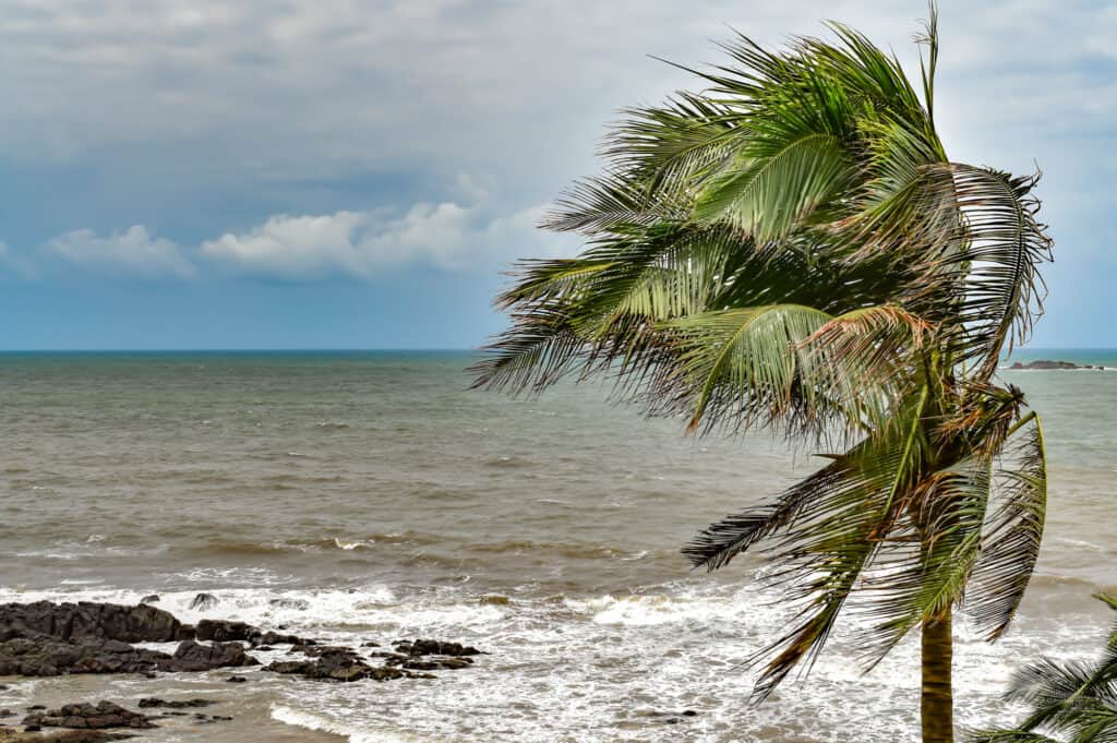 Ciclone, Monsone, El Nino, Spiaggia, Ruvido