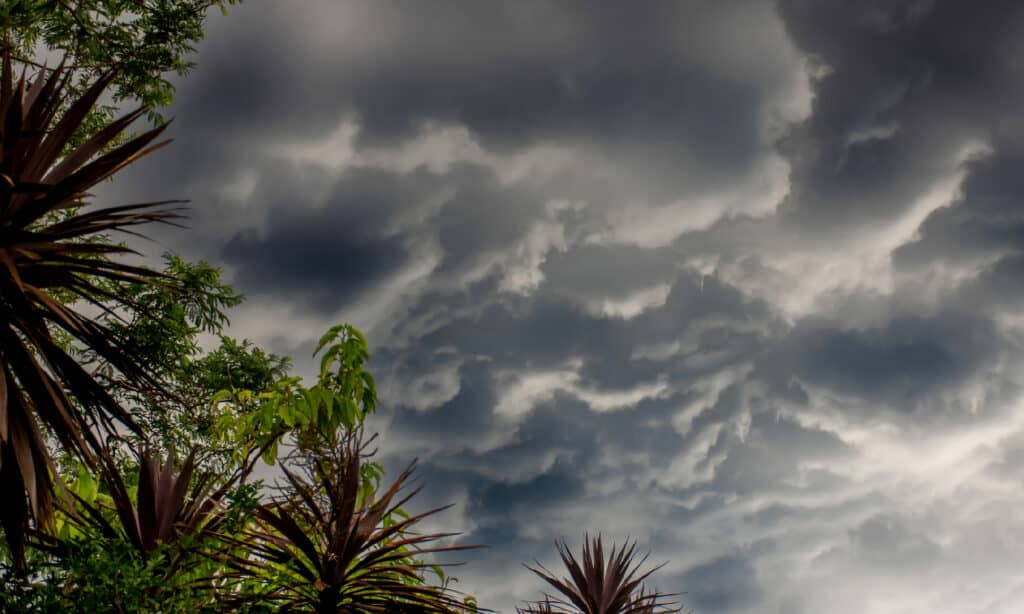 La Niña, Pioggia, Queensland, Tempesta, Inondazione