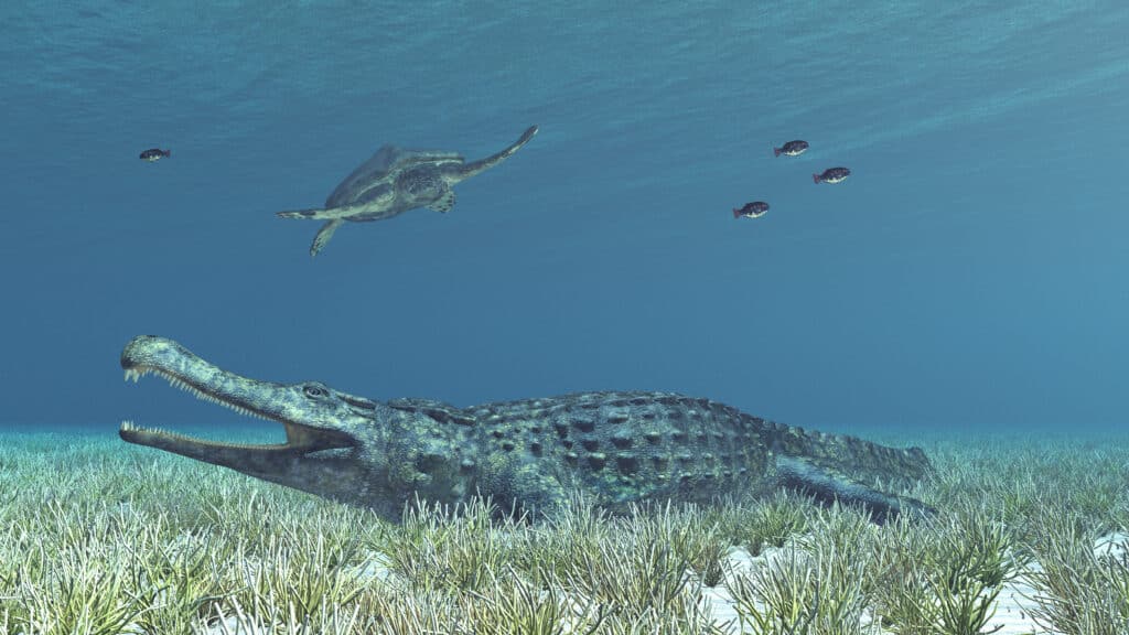 Sarcosuchus nell'acqua