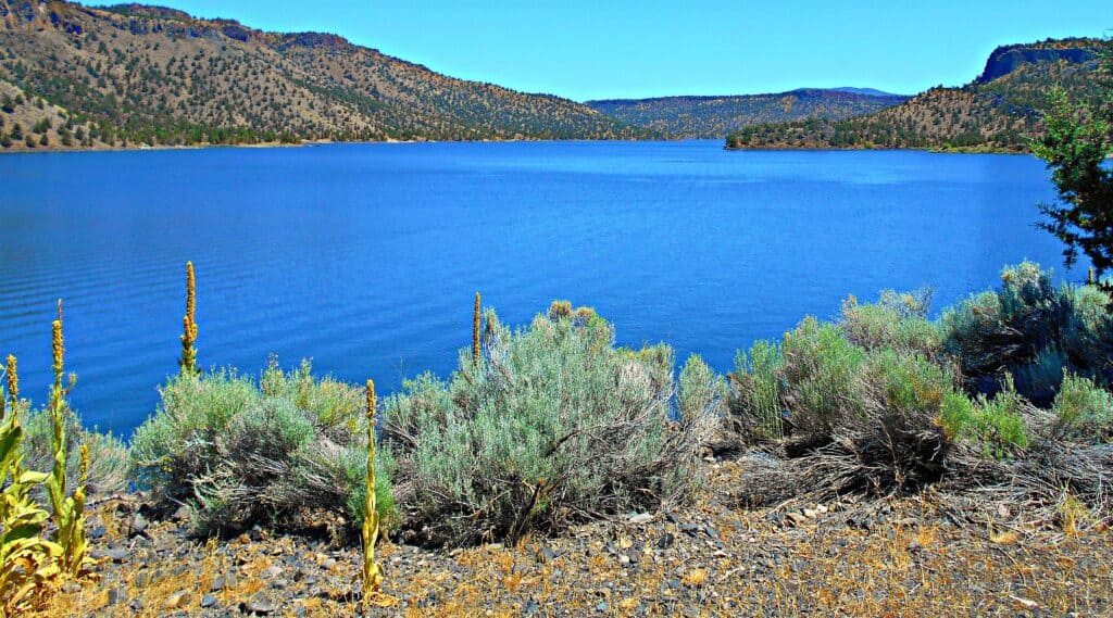 Bacino di Prineville