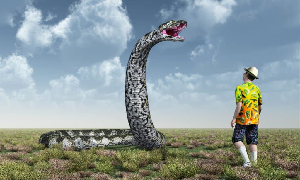 dimensione del titanoboa