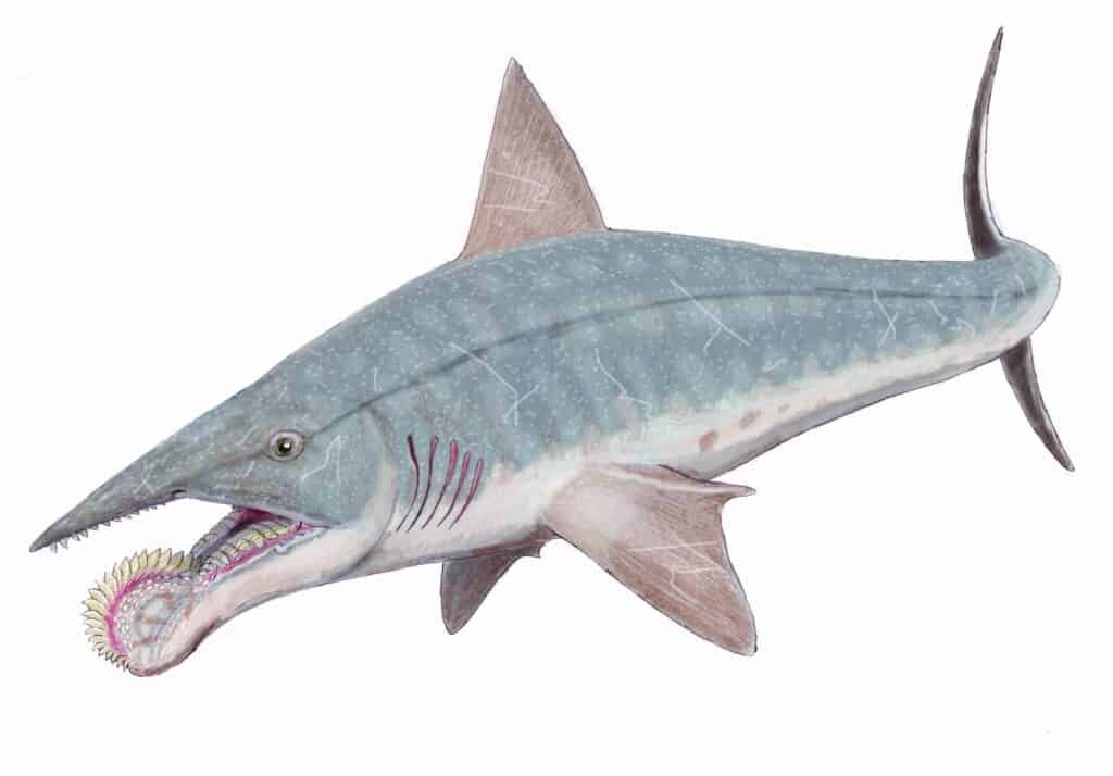 Elicoprione