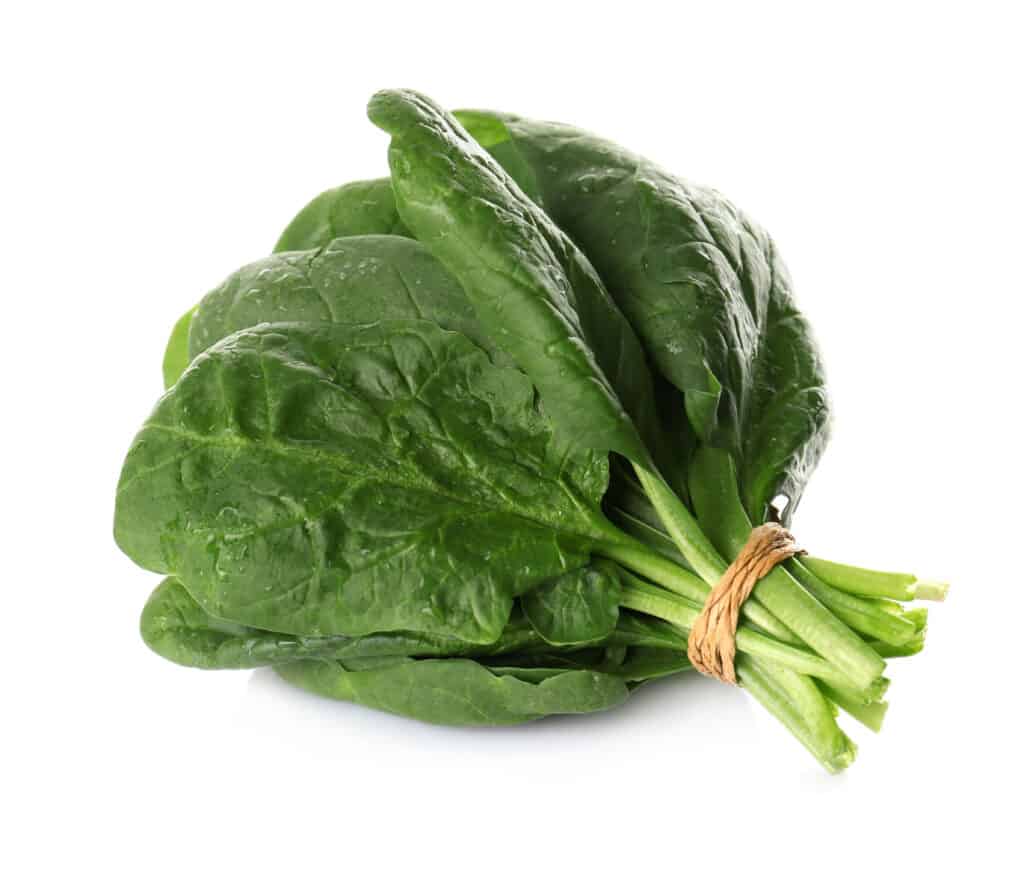 Broccoli vs Spinaci